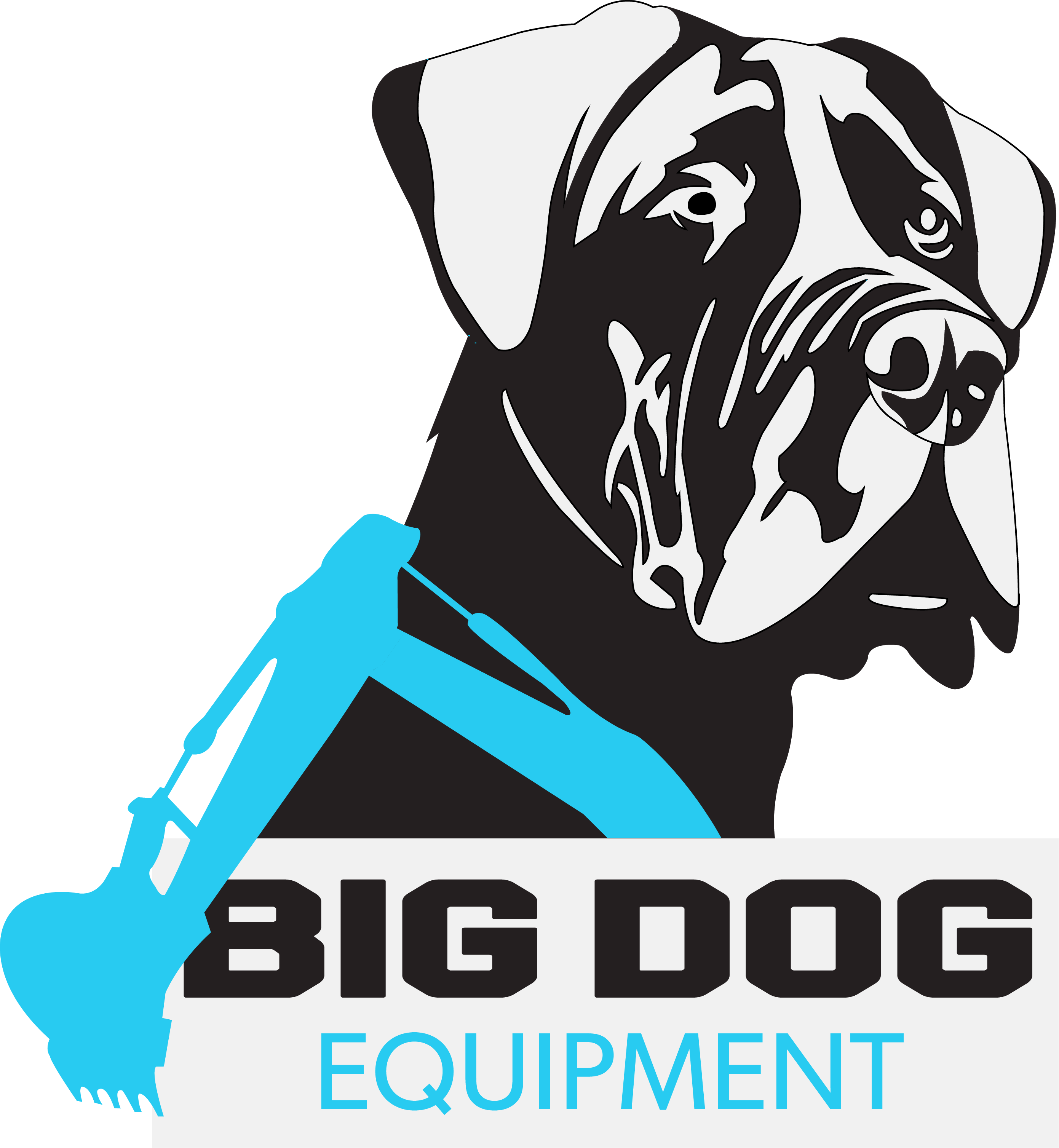 Big Dog Equipment Logo